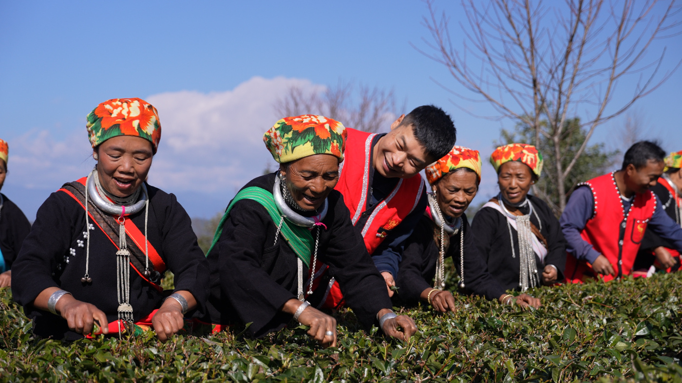 1744354473825300.jpg 26.jpg