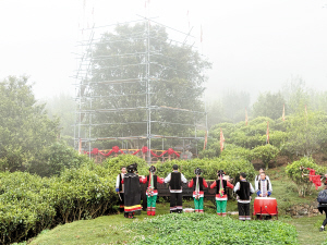 80261744831075007 80261744831075007