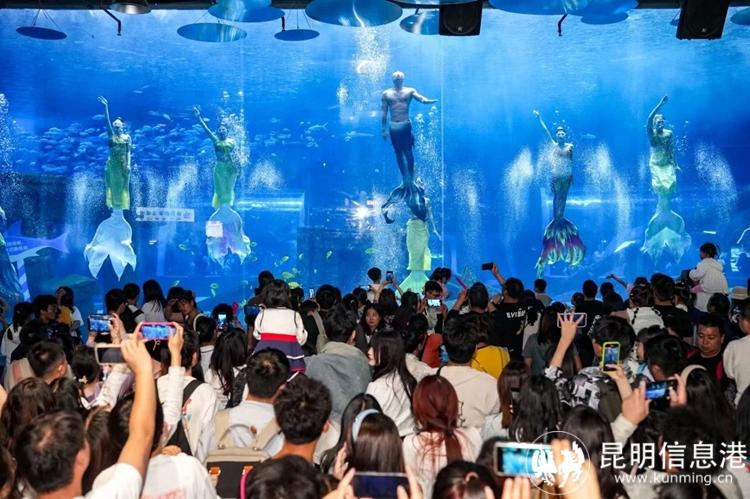 海世界演出 海世界演出