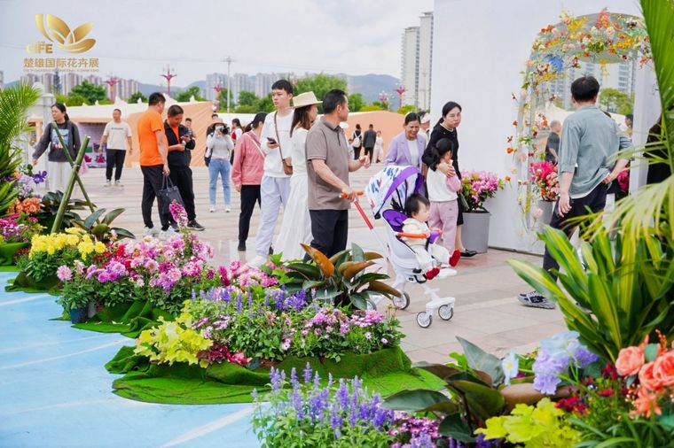 abdf2e3d1ee7c38e249f1698cfb65f37