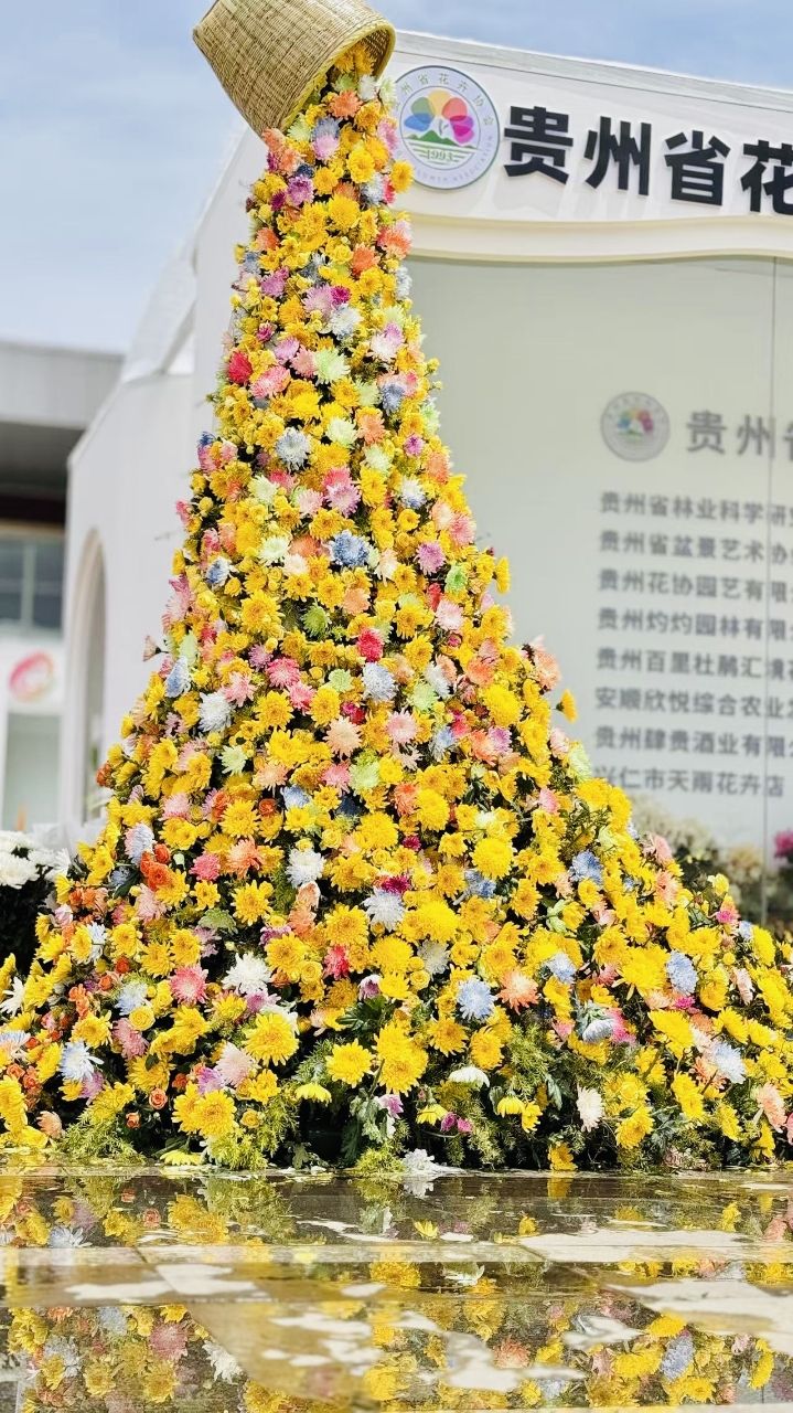 541113cca15c7484e39eac2ef5afa5f9