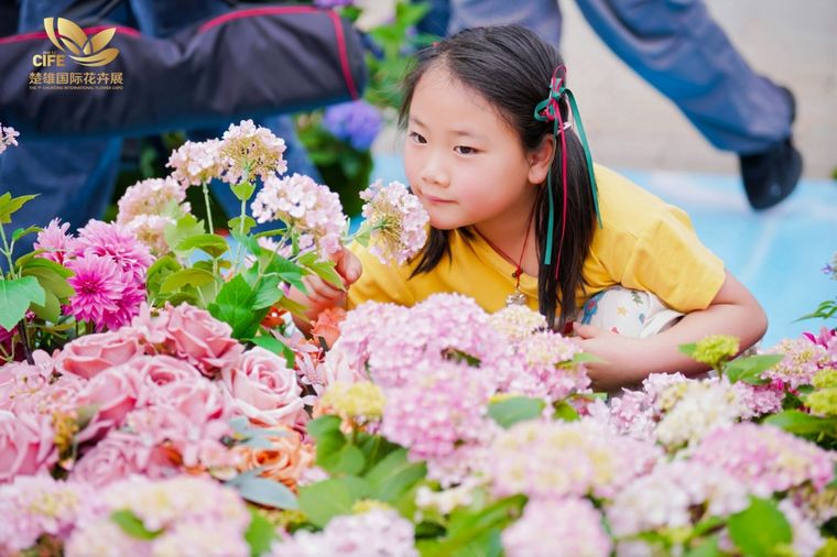 8800f62559b0c155a1b8424a846d67fc