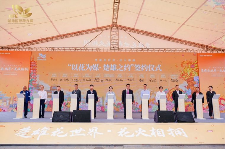 5cf59e12577b054a955650261b980623