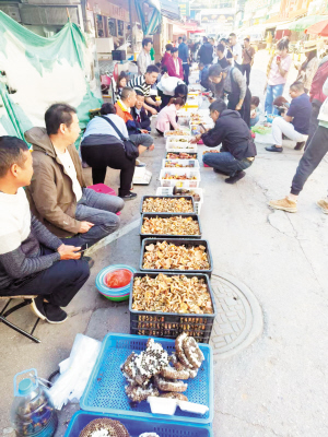 db5313ed459c086ec19d52196b5821d6