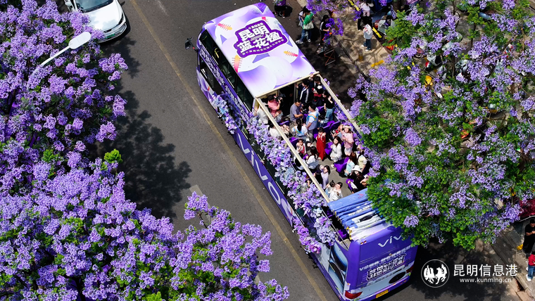 c8b730125d468835742311fcae33139c