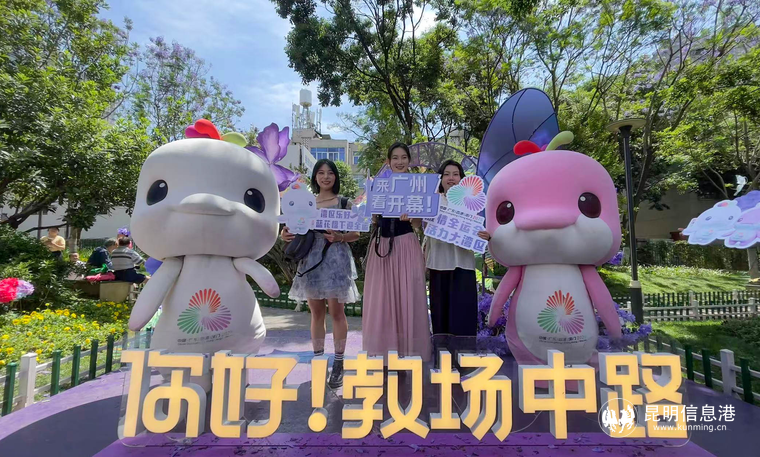 16d90bde2a661f9db6c218a271b19919