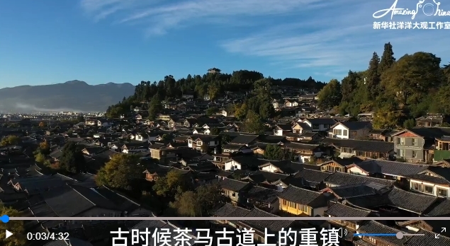 微信截圖_20250512143733