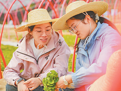 云南咖啡何以味更香？人民日報要聞版頭條解讀