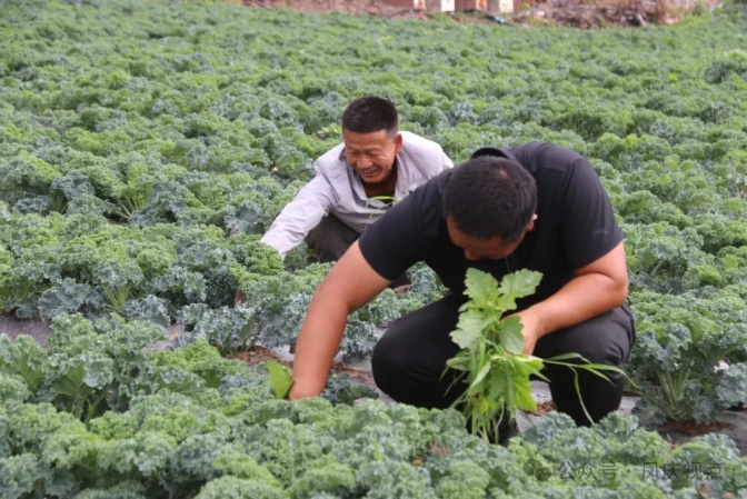 微信截圖_20250517141809