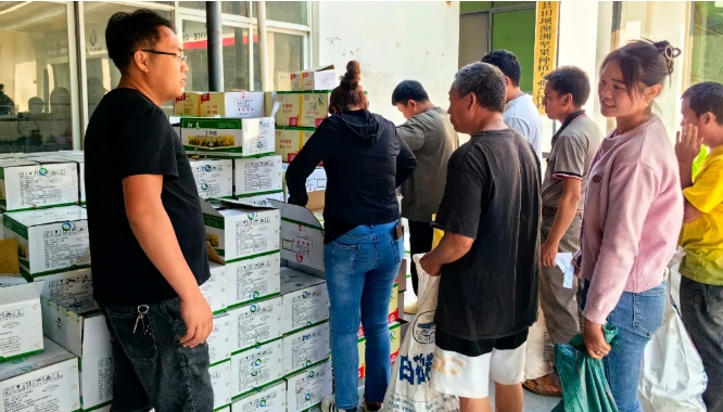 微信截圖_20250517143507