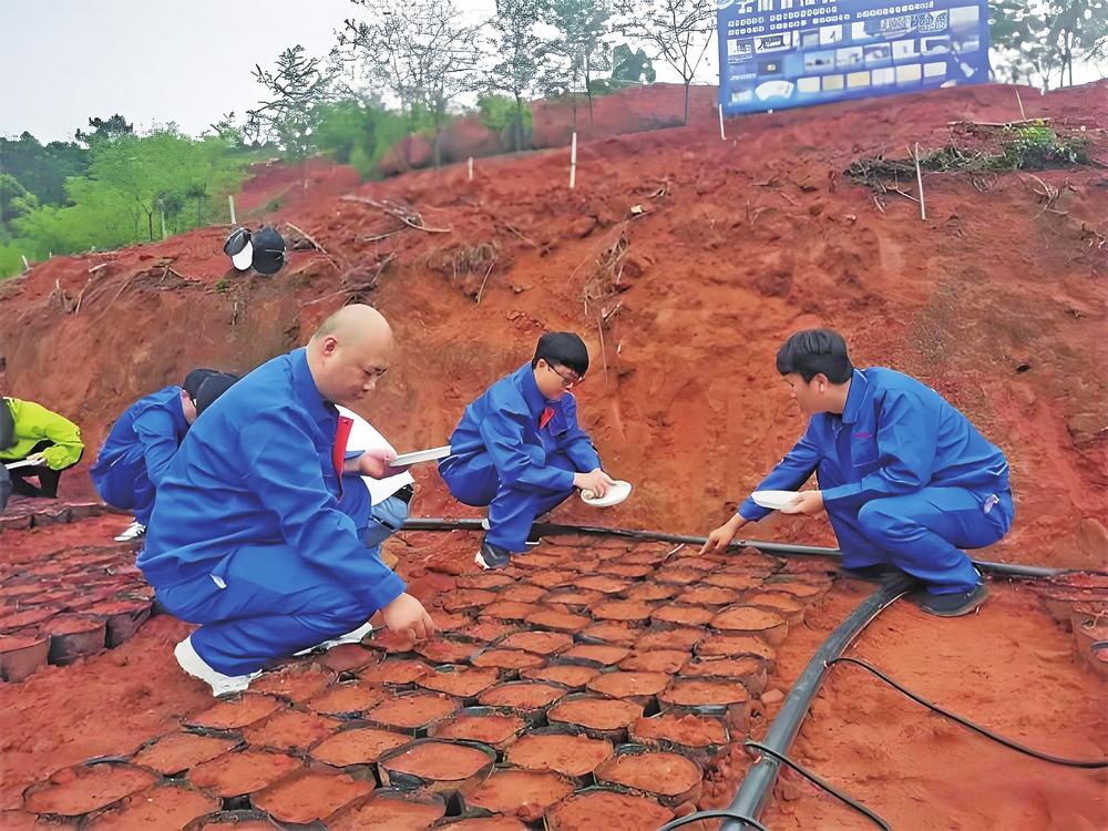 b4eb54d8-b60c-4bdc-b471-e638b5769f6c