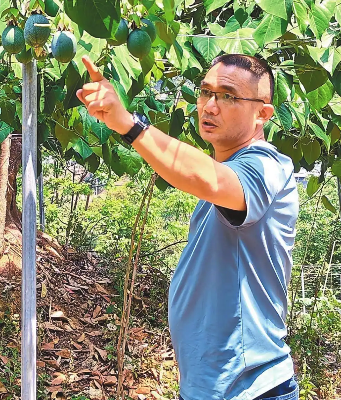 截屏2025-05-20 09.31.05