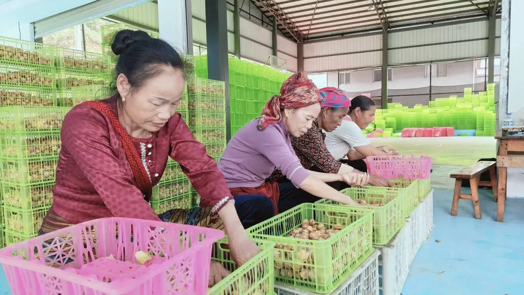 1747878586248943.png 640_wx_fmt=jpeg&tp=webp&wxfrom=5&wx_lazy=1.webp (8).png