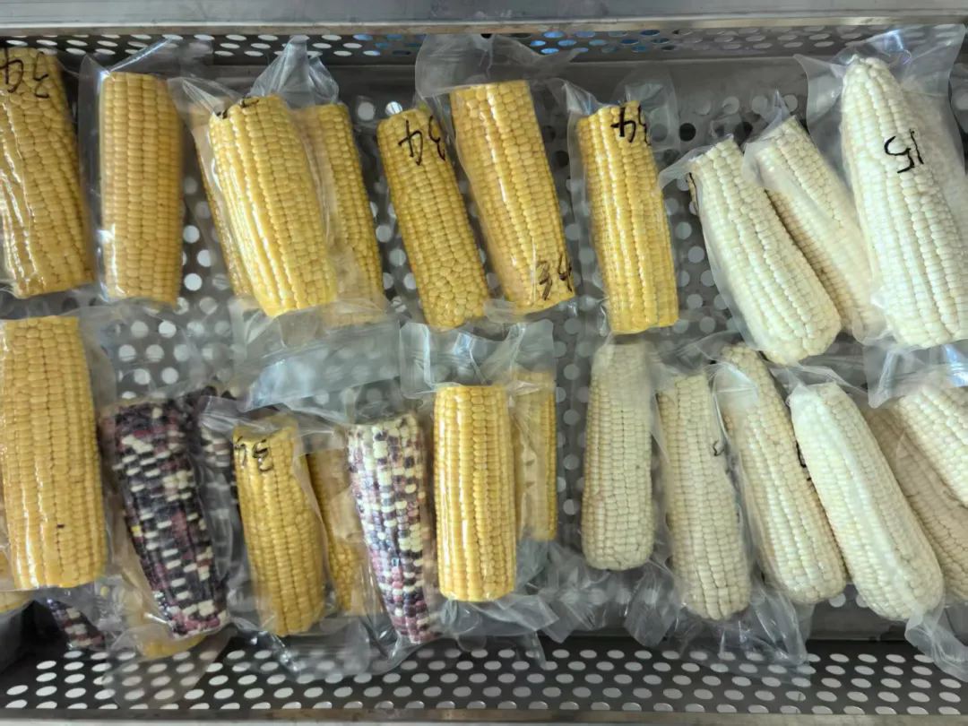 1747879116789279.png 640_wx_fmt=jpeg&from=appmsg&tp=webp&wxfrom=5&wx_lazy=1.webp (4).png