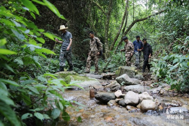 林草部門工作人員現(xiàn)場調(diào)查2 楊廷榮 攝.JPG