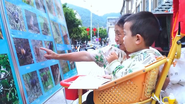 市民看宣傳展板 龍陵融媒供圖.jpg