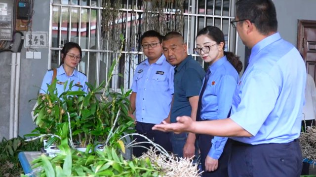 到石斛基地宣傳 龍陵融媒供圖.jpg
