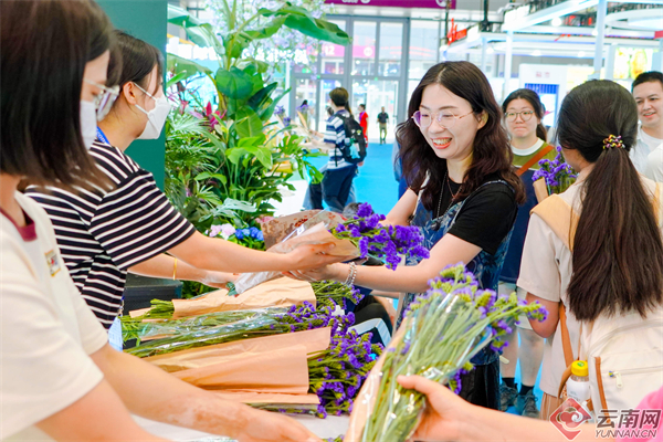 繽紛呈異彩 奮進(jìn)正當(dāng)時(shí)——云南參展深圳文博會(huì)綜述
