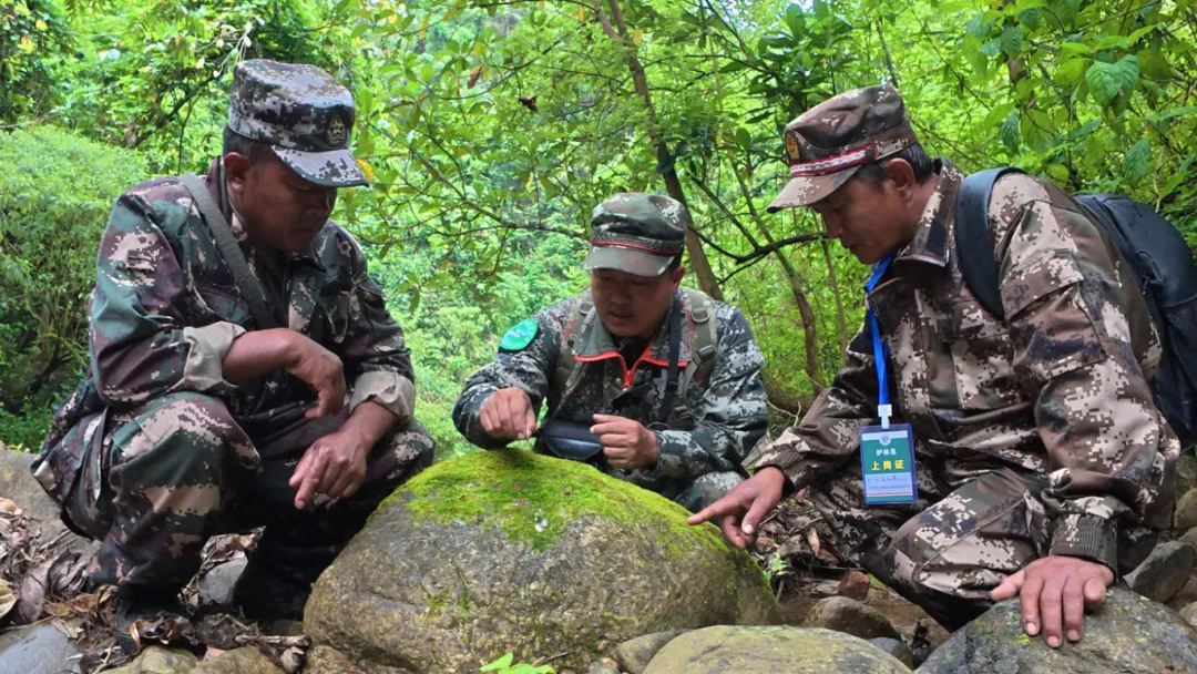 640_wx_fmt=jpeg&from=appmsg&tp=webp&wxfrom=5&wx_lazy=1.webp (1).png