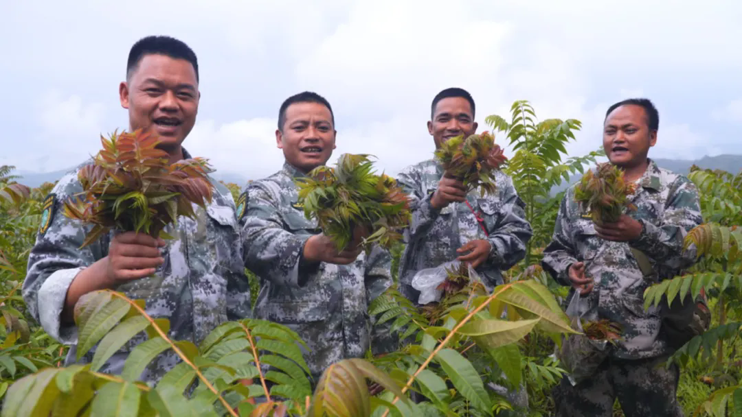 640_wx_fmt=jpeg&from=appmsg&tp=webp&wxfrom=5&wx_lazy=1.webp (4).png