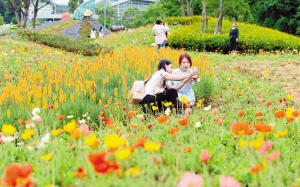 48471748800097199 48471748800097199