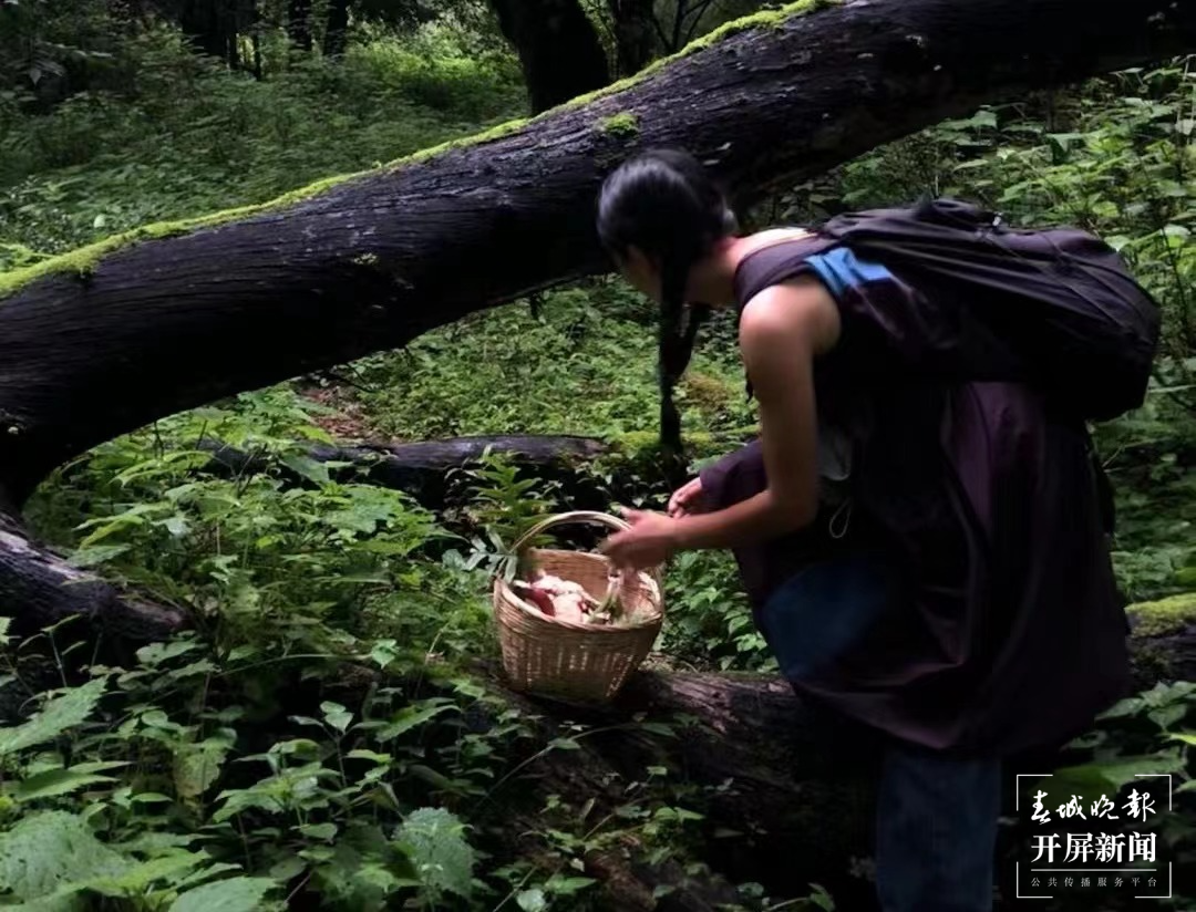 ▲年輕游客在大理徒步山林采摘蘑菇。來(lái)源：美團(tuán)商家供圖.png