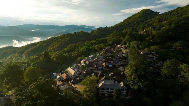 【文化和自然遺產(chǎn)日】漫動(dòng)時(shí)節(jié)丨茶:人在草木間 【文化和自然遺產(chǎn)日】漫動(dòng)時(shí)節(jié)丨茶:人在草木間