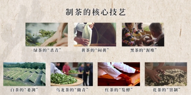 【文化和自然遺產(chǎn)日】漫動(dòng)時(shí)節(jié)丨茶:人在草木間 【文化和自然遺產(chǎn)日】漫動(dòng)時(shí)節(jié)丨茶:人在草木間