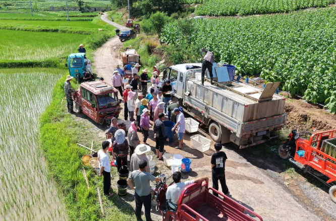 146cad400e6df042decb6e4e0b0dc11c