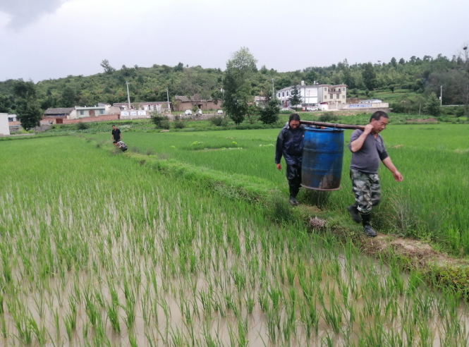 211899d6530fe0a6608138fd3d9f62e4