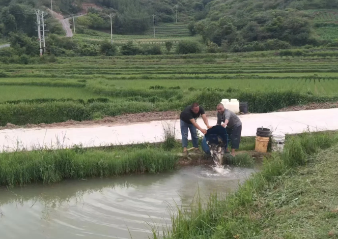 de6c75e4c3821c9dc6e69be26f03ac92