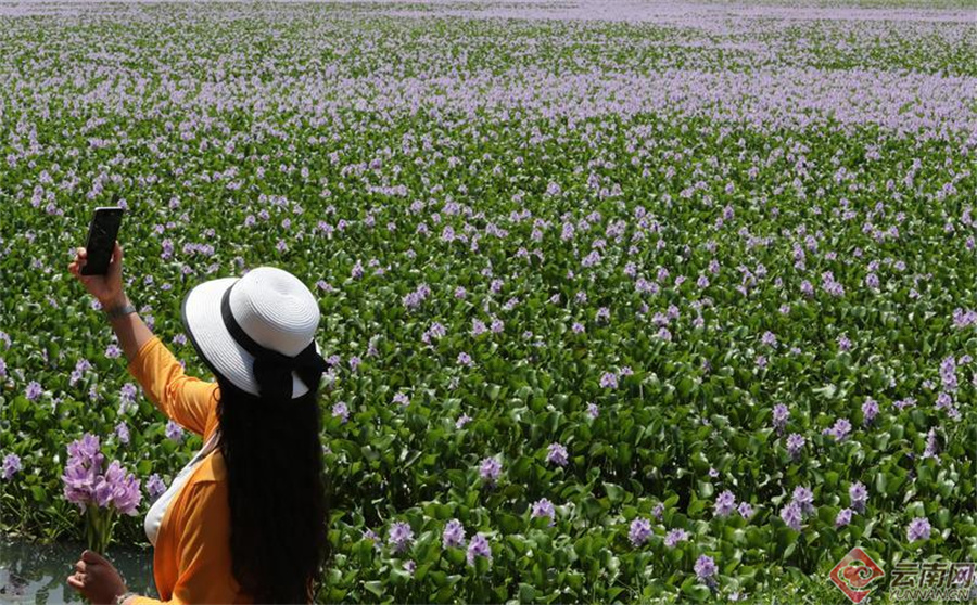 00307190382_9736dacc