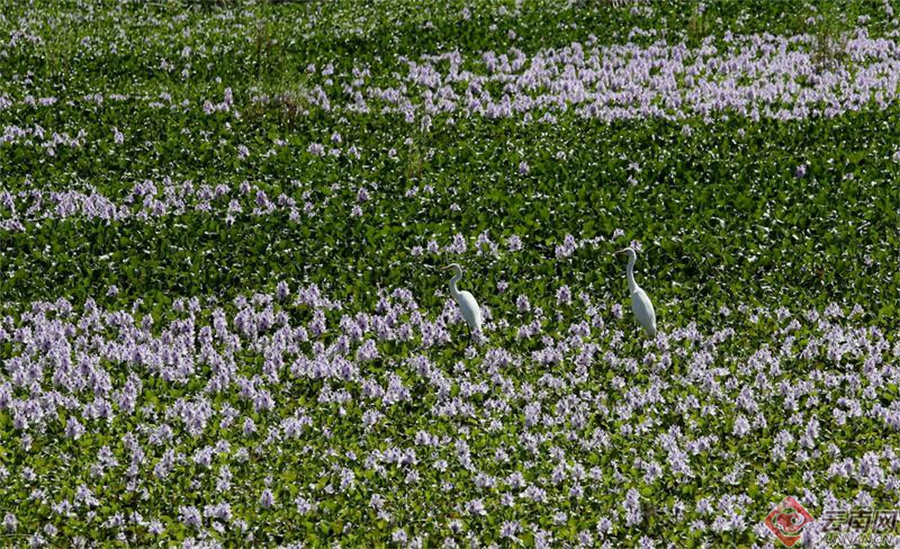 00307190384_56113676