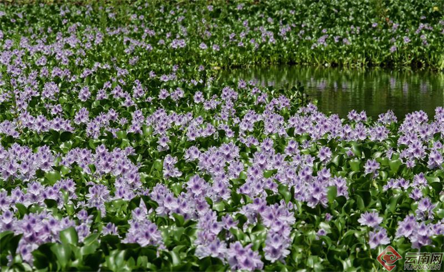 00307190387_8fa2a283