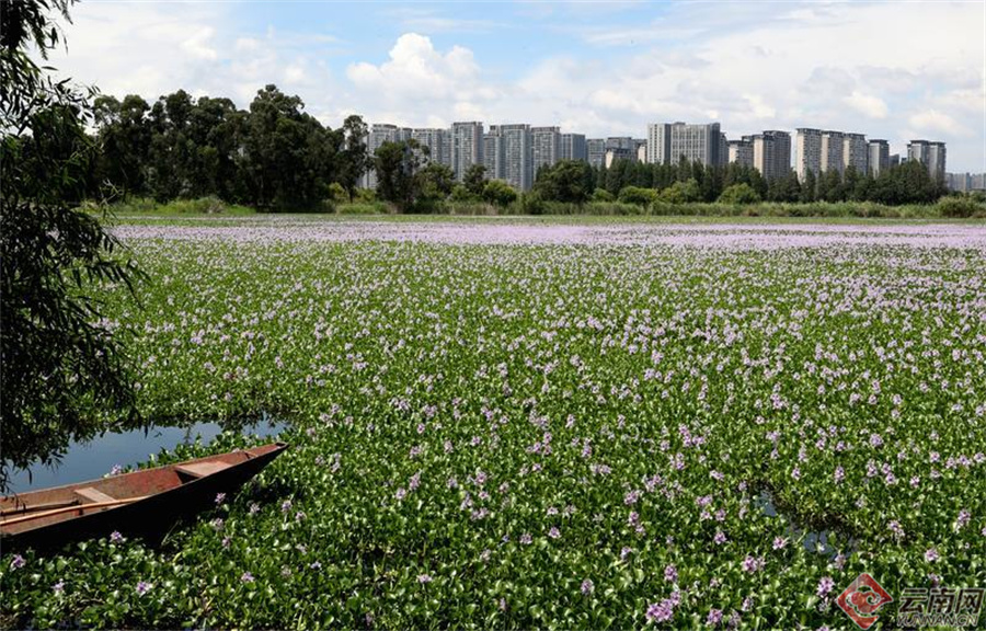 00307190391_4c23c0d6