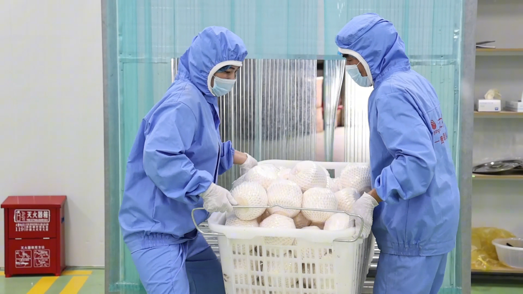 2025070840d0f719a1f147a0a9ecfb6a92d0d70e_45b1f17403f143da8709487939a47680