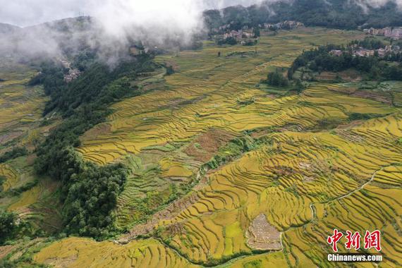 The Yuanyang Hani Terraces in Yunnan Province. (File photo/China News Service) The Yuanyang Hani Terraces in Yunnan Province. (File photo/China News Service)