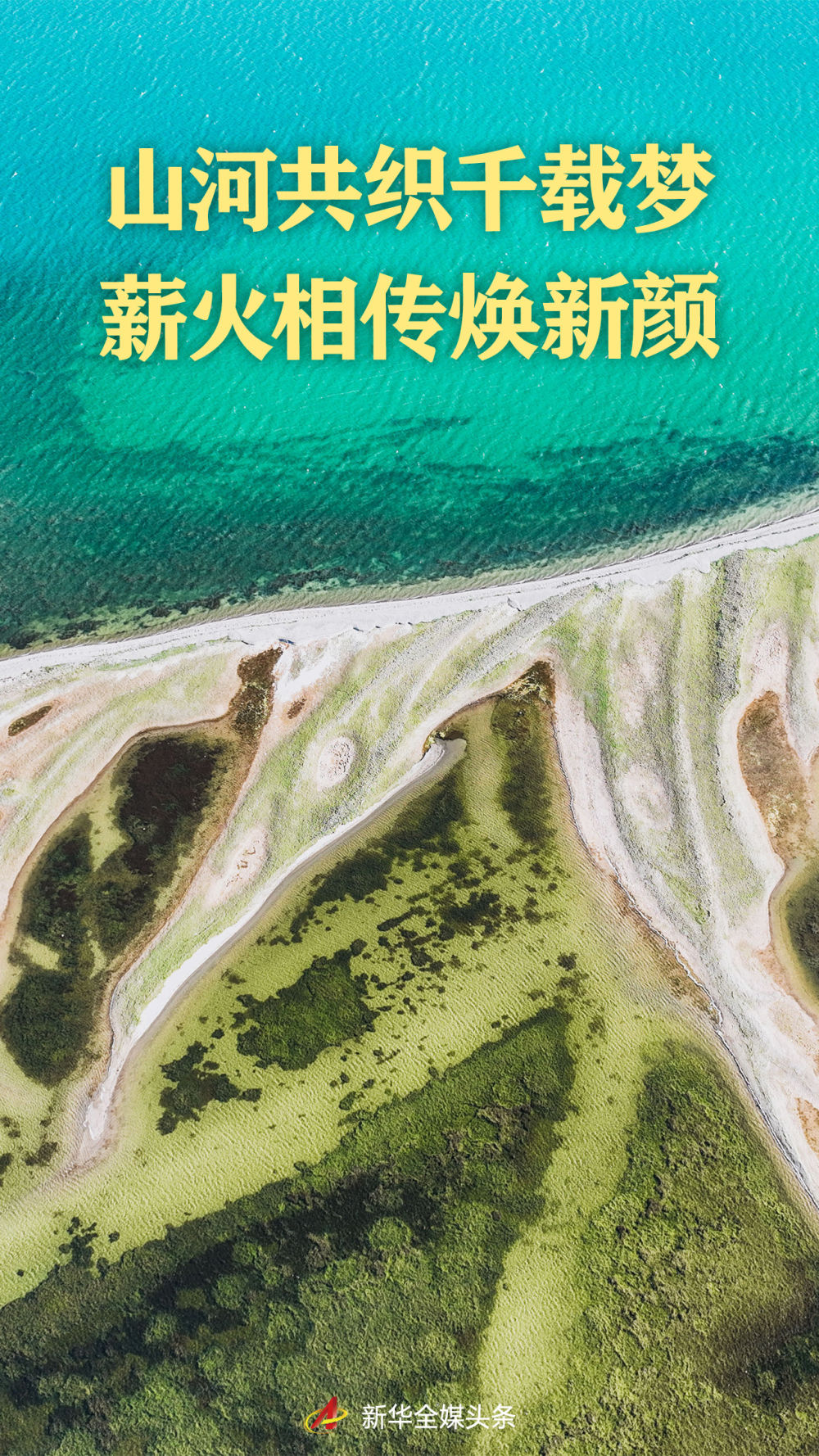 43e3393d9571416cabcb2a26051ae523