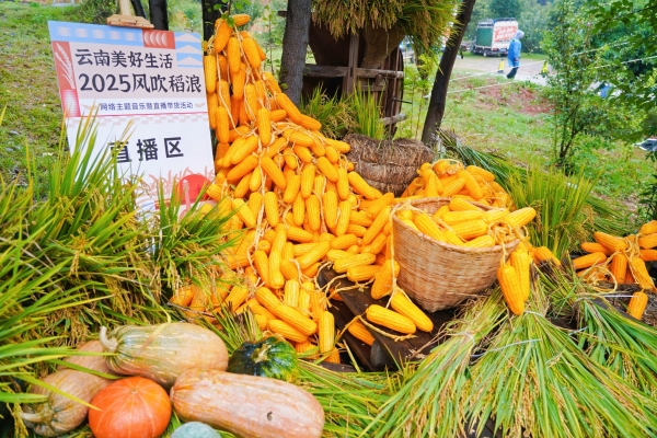 DSC03916-opq3993383570 DSC03916-opq3993383570