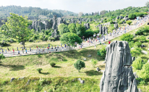 70131760289378708 70131760289378708