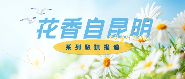 花香自昆明banner