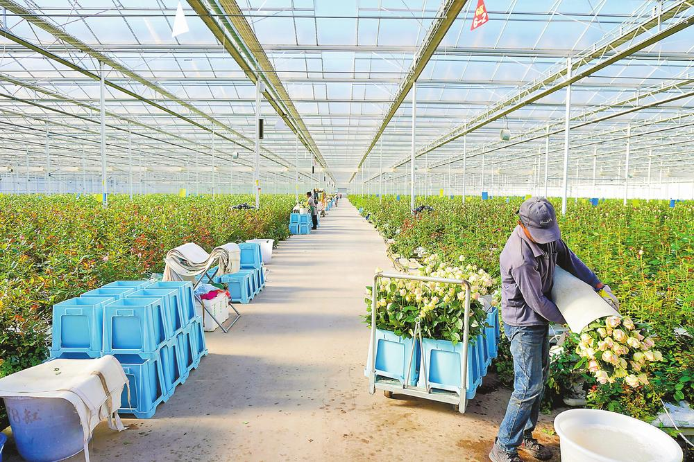 云報(bào)5 云報(bào)5