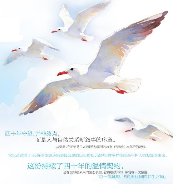 00ab1493-5d6b-4d2b-8999-ff893db9a495