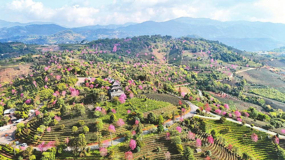 586c156e-56d9-4ef2-90f7-1f44fe7c7633 586c156e-56d9-4ef2-90f7-1f44fe7c7633