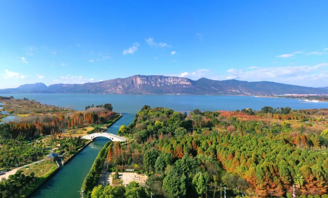 星海濕地周密攝 (3).jpg