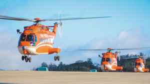 53081768153002542 53081768153002542