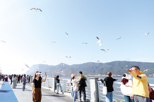 71271768153006901 71271768153006901