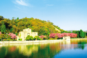 69191768153006917 69191768153006917