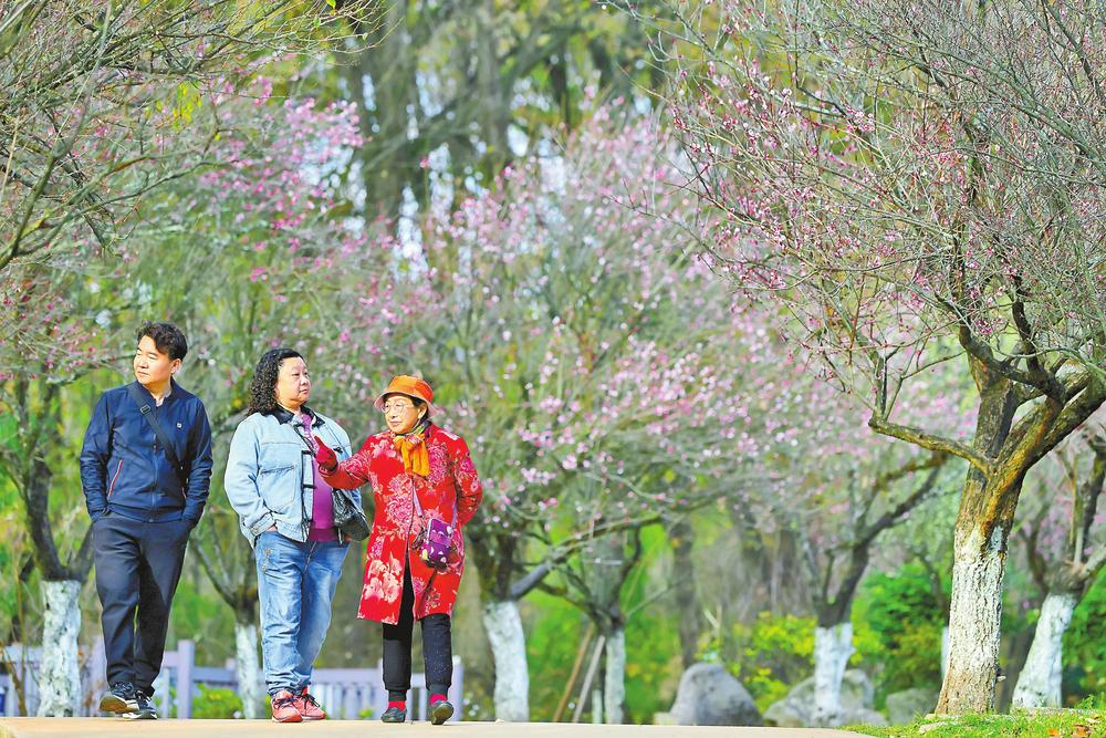 微信圖片_20260114082103_542_195