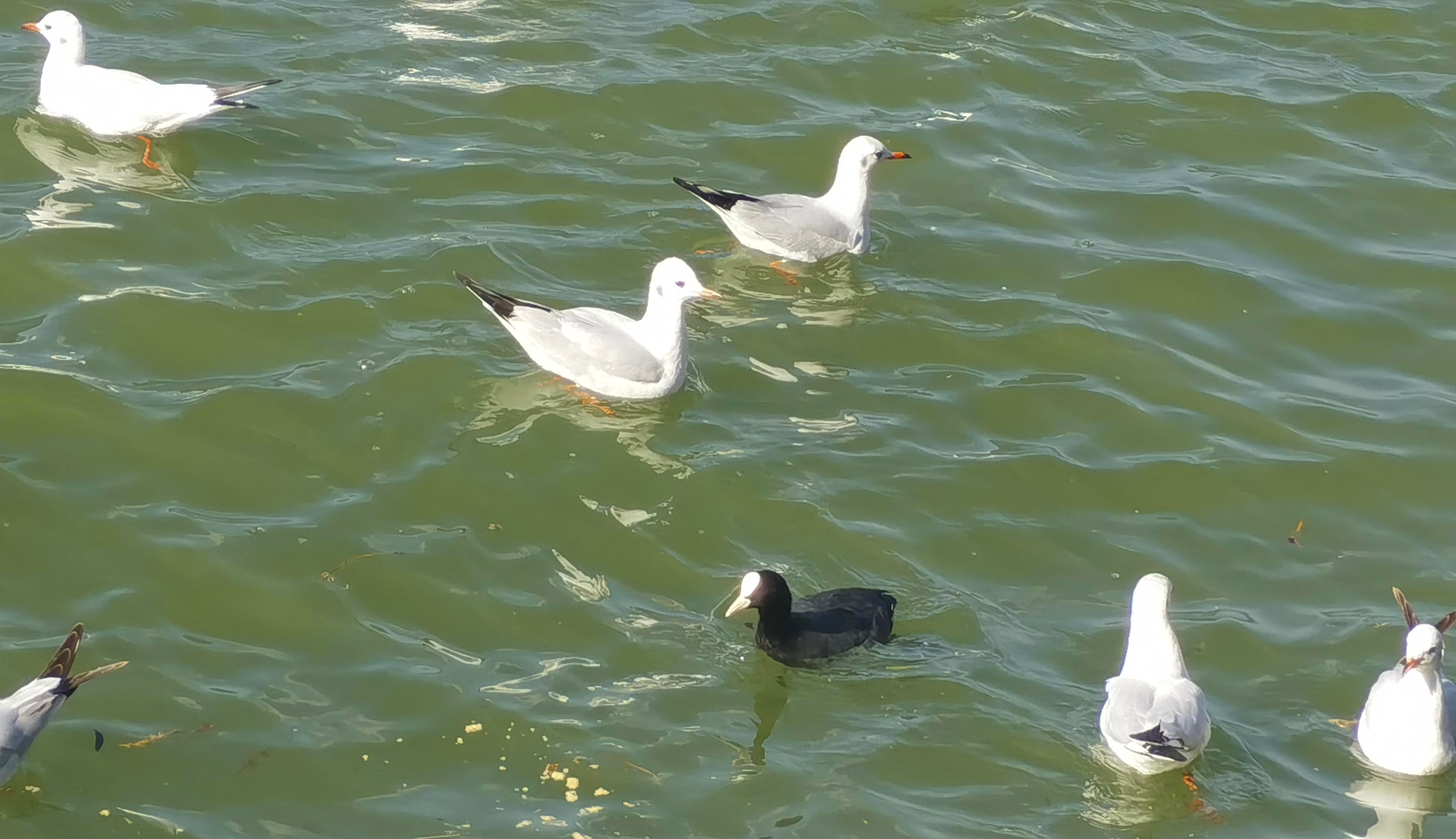 微信圖片_20260114125922_20_724